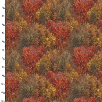 3 Wishes - Whitetail Country - Forest Texture, Multi