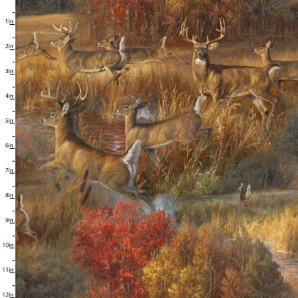 3 Wishes - Whitetail Country - Frolicking Deer, Multi