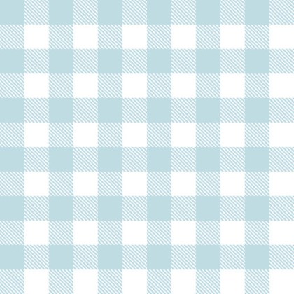 A.E. Nathan - Comfy Flannel Prints - Plaid, Blue & White