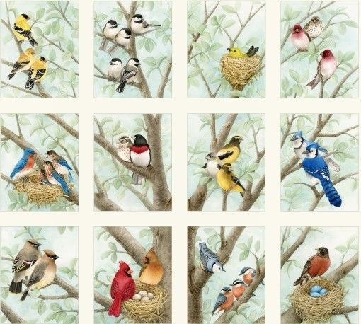 Elizabeth Studio - Beautiful Birds - 24' Songbird in Tree Panel, Cream