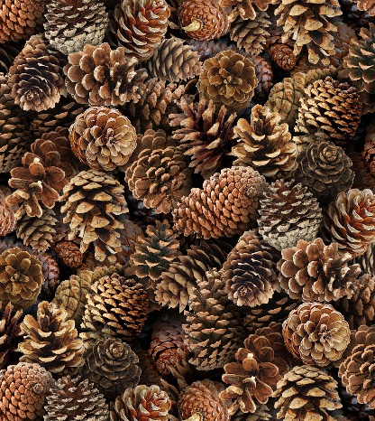 Elizabeth Studio - Landscape Medley - Pinecones, Brown