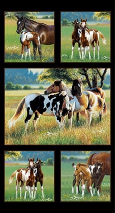 Elizabeth Studio - Pasture Buddies - 24' Horses Panel, Black