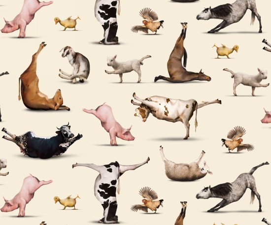 Elizabeth Studio - Yoga is For Everyone - Animals, Cream