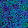 Free Spirit - Kaffe Fassett - Petunias, Blue