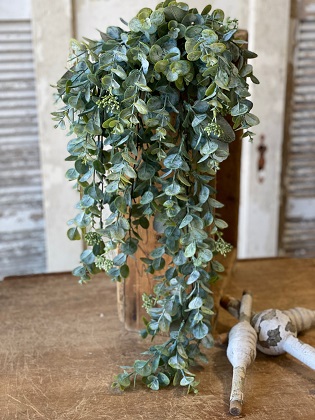 Hanging Cluster - Driftaway Eucalyptus 31'