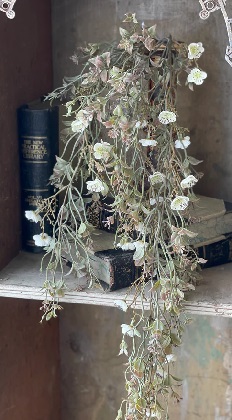 Hanging Cluster - Julep Blooms 34', Cream