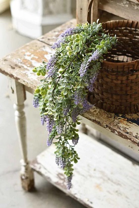 Hanging Cluster - Sage Boxwood  30', Purple