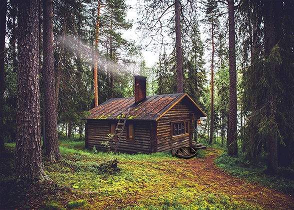 Hoffman California - Off The Grid - 31' x 42' Cabin Panel, Organic