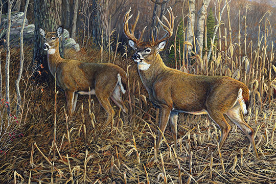 Northcott - Heading For Cover - 30' Digital Deer Panel, Multi