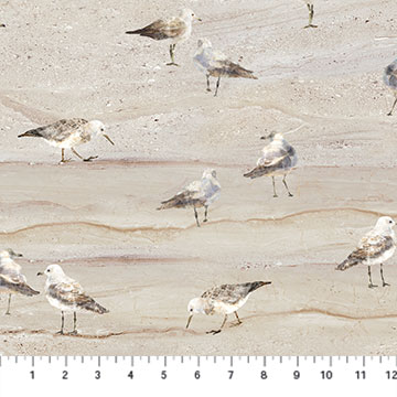 Northcott - Swept Away - Gulls on Sand, Tan