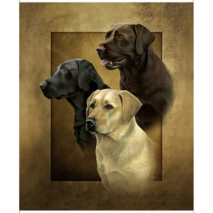 Quilting Treasures - For The Love of Labs - 36' Labrador Picture Panel, Brown