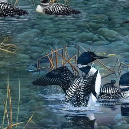 Quilting Treasures - Lakeside Loons - Loon Scenic, Quagmire