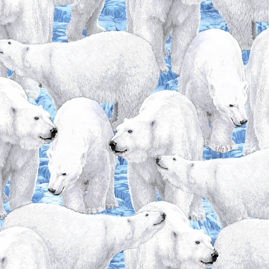 Quilting Treasures - Northern Lights - Polar Bears, Blue