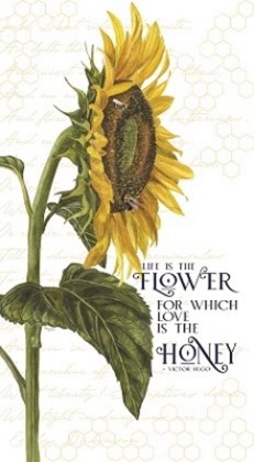 Riley Blake - Honey Bees & Flowers Please - 24' Life is The Flower Panel, White