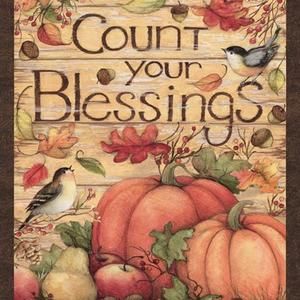 Springs Creative - Count Your Blessings - 36' Pumpkin Panel, Orange