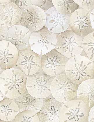 Timeless Treasures - Beach - Packed Sand Dollars, Sand