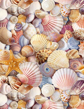 Timeless Treasures - Beach - Packed Seashells, Multi