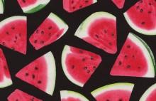 Timeless Treasures - Fruit - Tossed Watermelon Wedges, Black