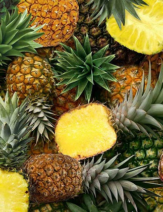 Timeless Treasures - Fruit Bowl - (Fruit) - Packed Pineapples, Yellow