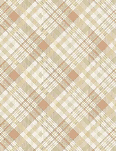 Timeless Treasures - Harvest - Apple Harvest Bias Plaid, Natural