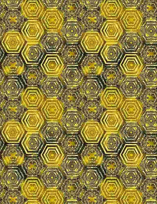 Timeless Treasures - Queen Bee - Honeycomb, Bee