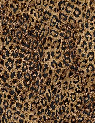 Timeless Treasures - Wild - Leopard Print, Brown/Black