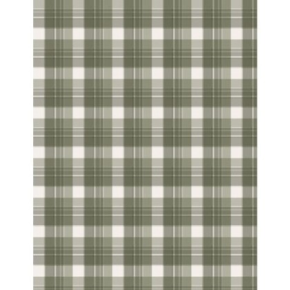 Wilmington Prints - Wildlife Trail - Plaid, Cream/Green