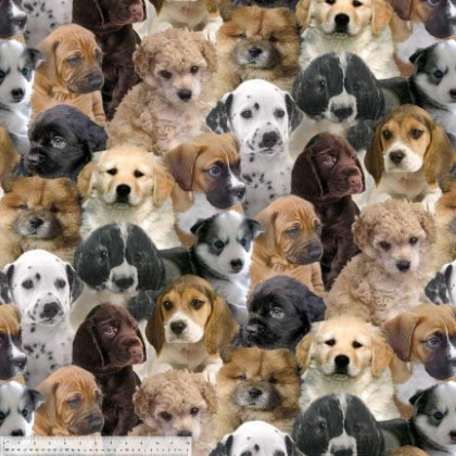 Windham Fabrics - Winter Fleece Print - Puppy Dogs, Multi