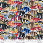 Free Spirit - Treasure Island - Stripey Fish, Multi