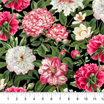 Northcott - Bloom - Large Peonies, Black