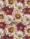 Wilmington Prints - Rosewood Lane - Packed Flowers, Multi