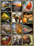 Hoffman California - Nature Woven - 44^ x 57” Animal Block Panel, Earth