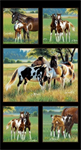 Elizabeth Studio - Pasture Buddies - 24^ Horses Panel, Black