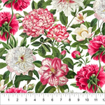 Northcott - Bloom - Large Peonies, White