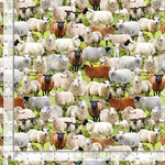 Timeless Treasures - Farm - Packed Sheep, Sage