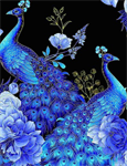 Timeless Treasures - Royal Plume - Large Floral w/Peacocks, Black