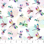 Northcott - Dragonfly Dance - Dragonflies, White