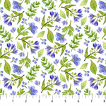 Northcott - Pressed Flowers - Blue Flower Toss, White