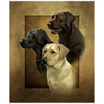 Quilting Treasures - For The Love of Labs - 36^ Labrador Picture Panel, Brown