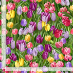 Timeless Treasures - Just Hatched - Tulip Field, Tulip