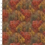 3 Wishes - Whitetail Country - Forest Texture, Multi