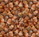 Elizabeth Studio - Landscape Medley - Acorns, Brown