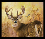 Elizabeth Studio - A Buck Stops Here - 36^ Large Buck, Black