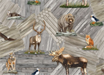 Quilting Treasures - Once Upon A Cabin - Wood & Animals, Gray