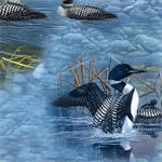 Quilting Treasures - Lakeside Loons - Loon Scenic, Blue