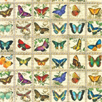 Robert Kaufman - Library of Rarities - Butterflies, Vintage