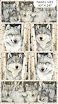 Northcott - Gray Wolf - 24^ Wolf Panel, Gray