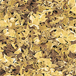 Quilting Treasures - Labrador-Able - Leaves, Light Gold