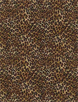 Timeless Treasures - Wild - Tiny Leopard Print, Brown/Black