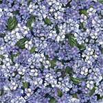 Quilting Treasures - Songbirds - Hydrangea, Violet